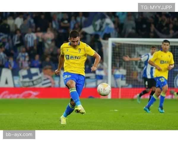 维特塞尔加盟西甲，期待为球队注入新活力