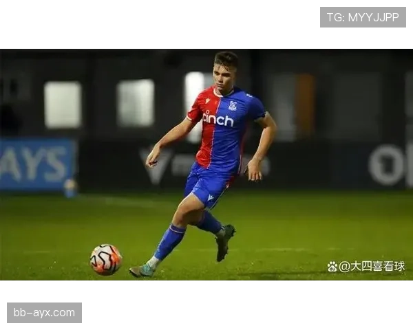 英超水晶宫本赛季表现稳健，竞争力持续提升